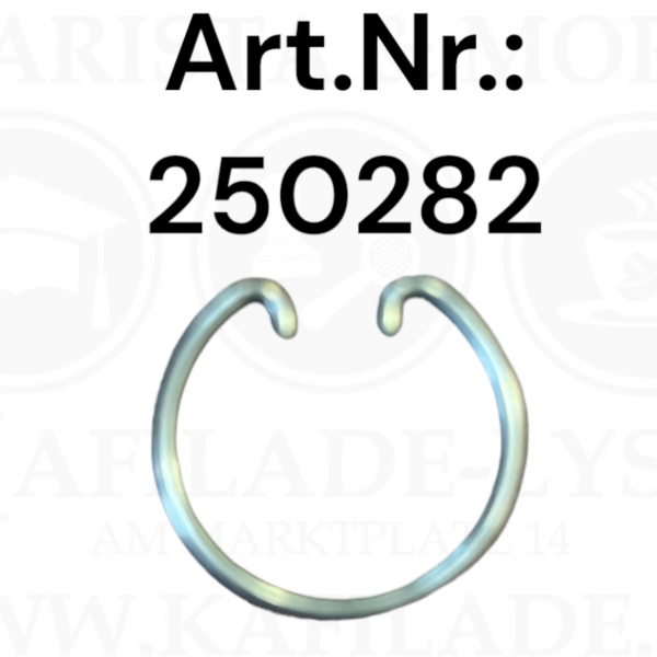 Sicherungsring [zu Kolbenstangen Ring]